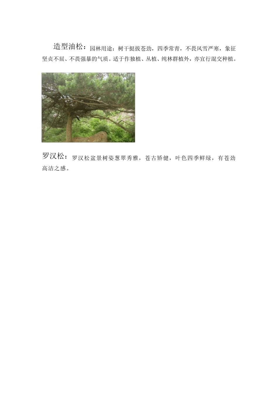 北方常用园林植物汇总_第3页