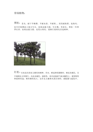 北方常用园林植物汇总