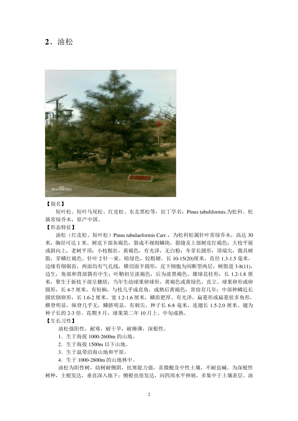 北方常见树种统计—乔木部分_第2页