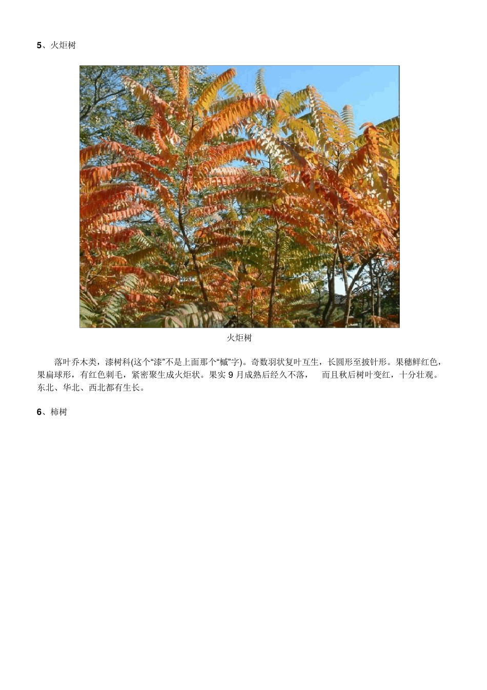 北方常用园林观赏植物名称与图片介绍_第3页