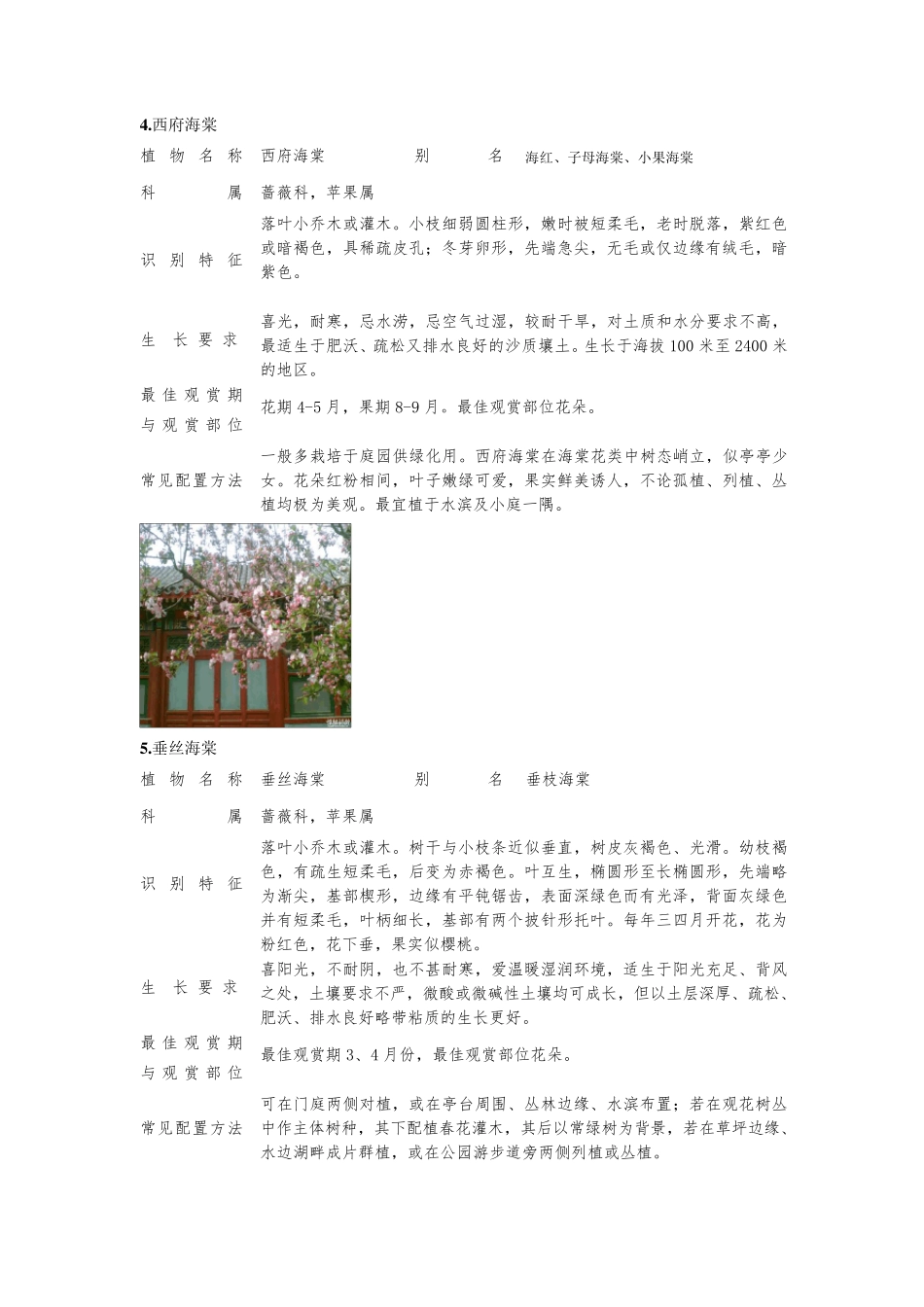 北方常见灌木_第3页