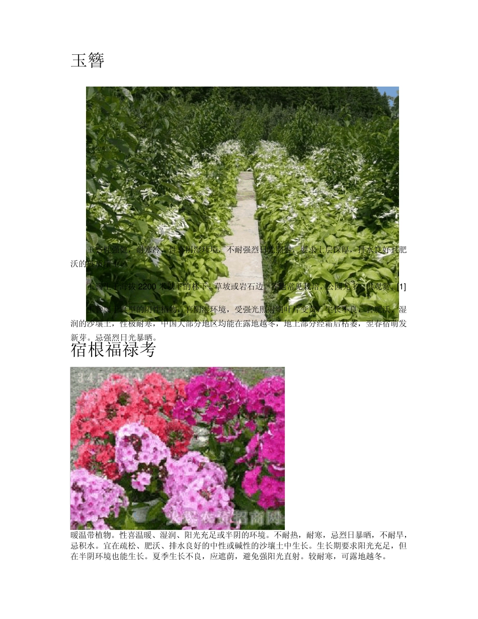北方常见花卉_第2页