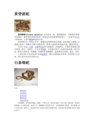 北方无毒蛇介绍(图文版)
