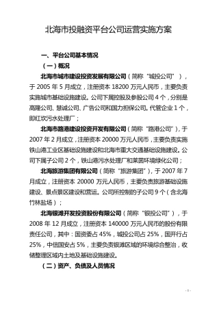 北海市投融资平台公司运营实施方案