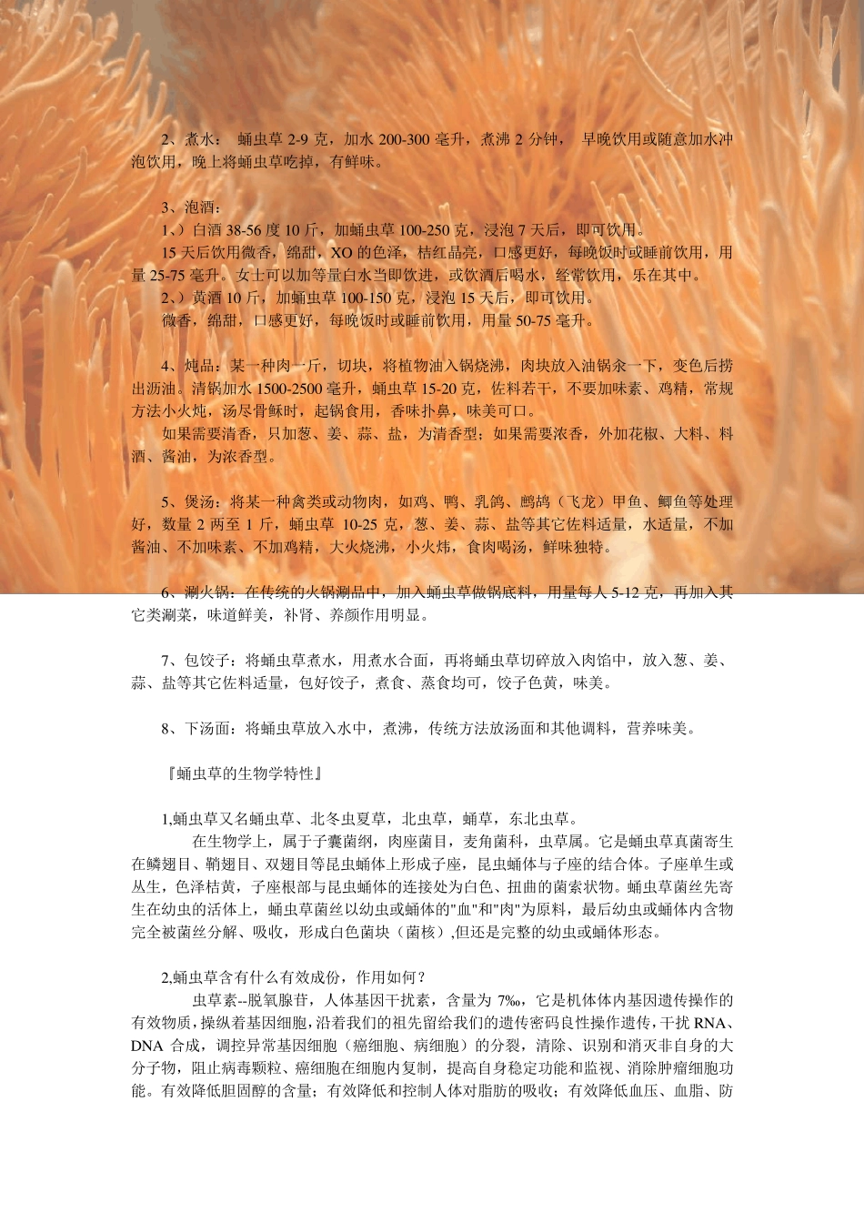 北虫草功效与食用方法_第2页