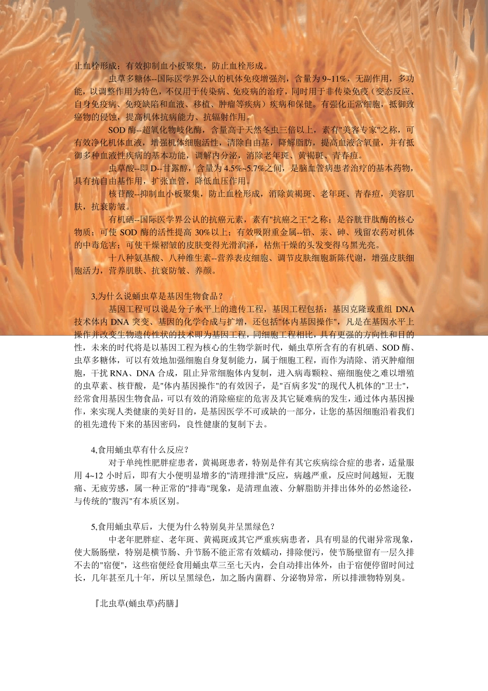 北虫草功效与食用方法_第3页