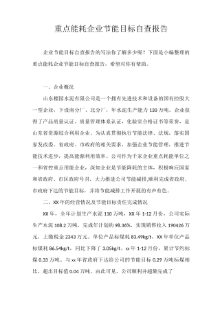 自查报告 重点能耗企业节能目标自查报告