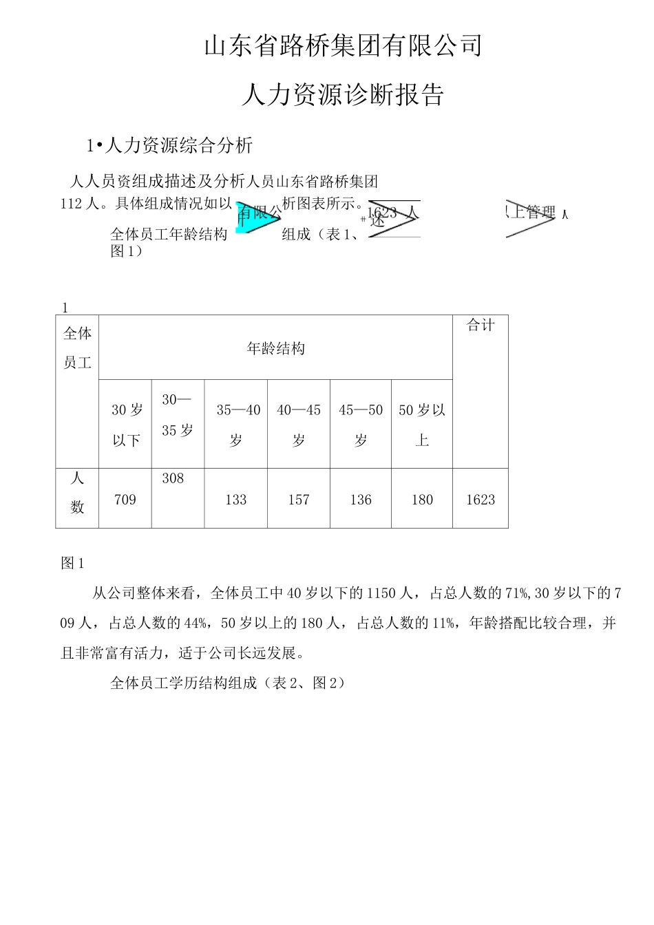 人力资源诊断报告书_第2页