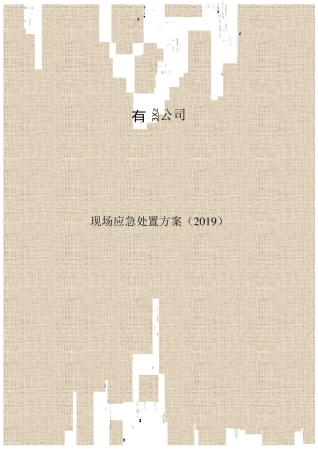 应急处置方案