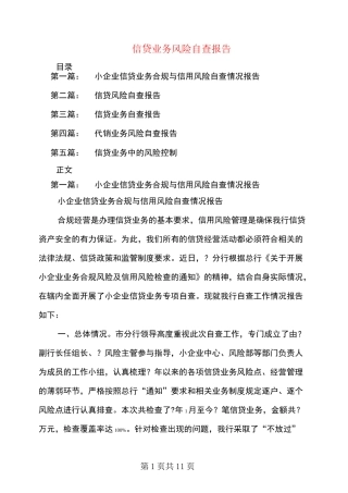 信贷业务风险自查报告(多篇范文)
