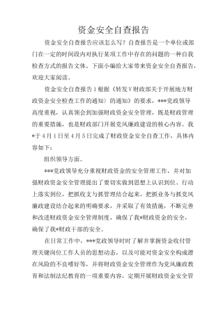 资金安全自查报告