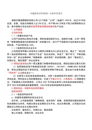 卓越绩效评价准则自我评价报告