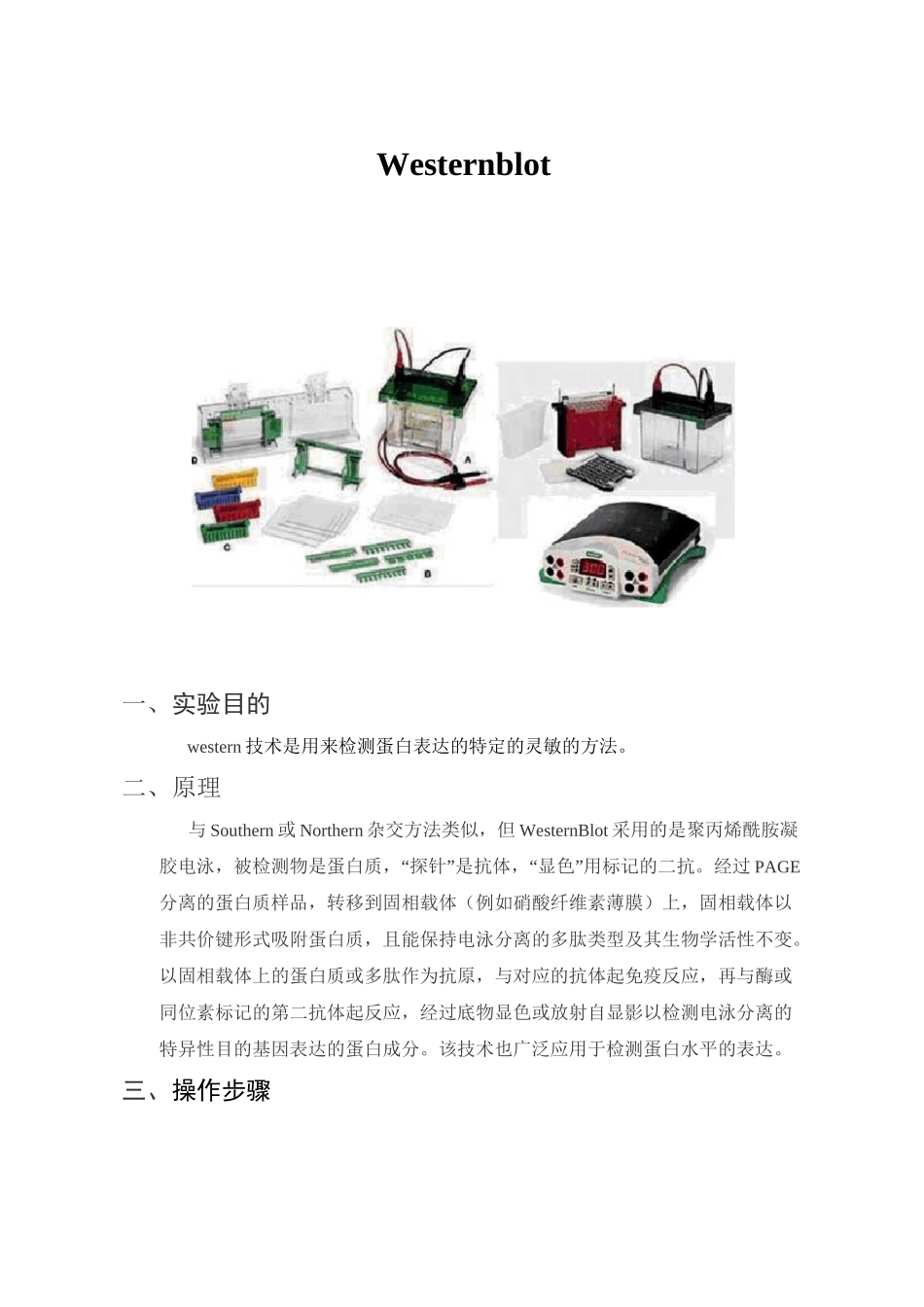 Westernblot一、实验目的western技术是用来检测蛋白表达的特定的_第1页
