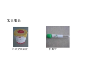 脐带胎盘干细胞采集流程
