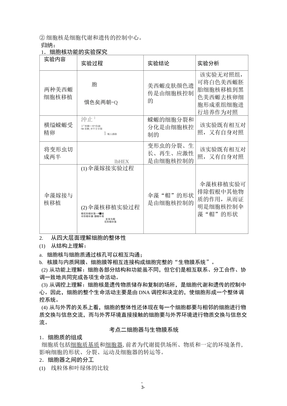 细胞的基本结构_第3页