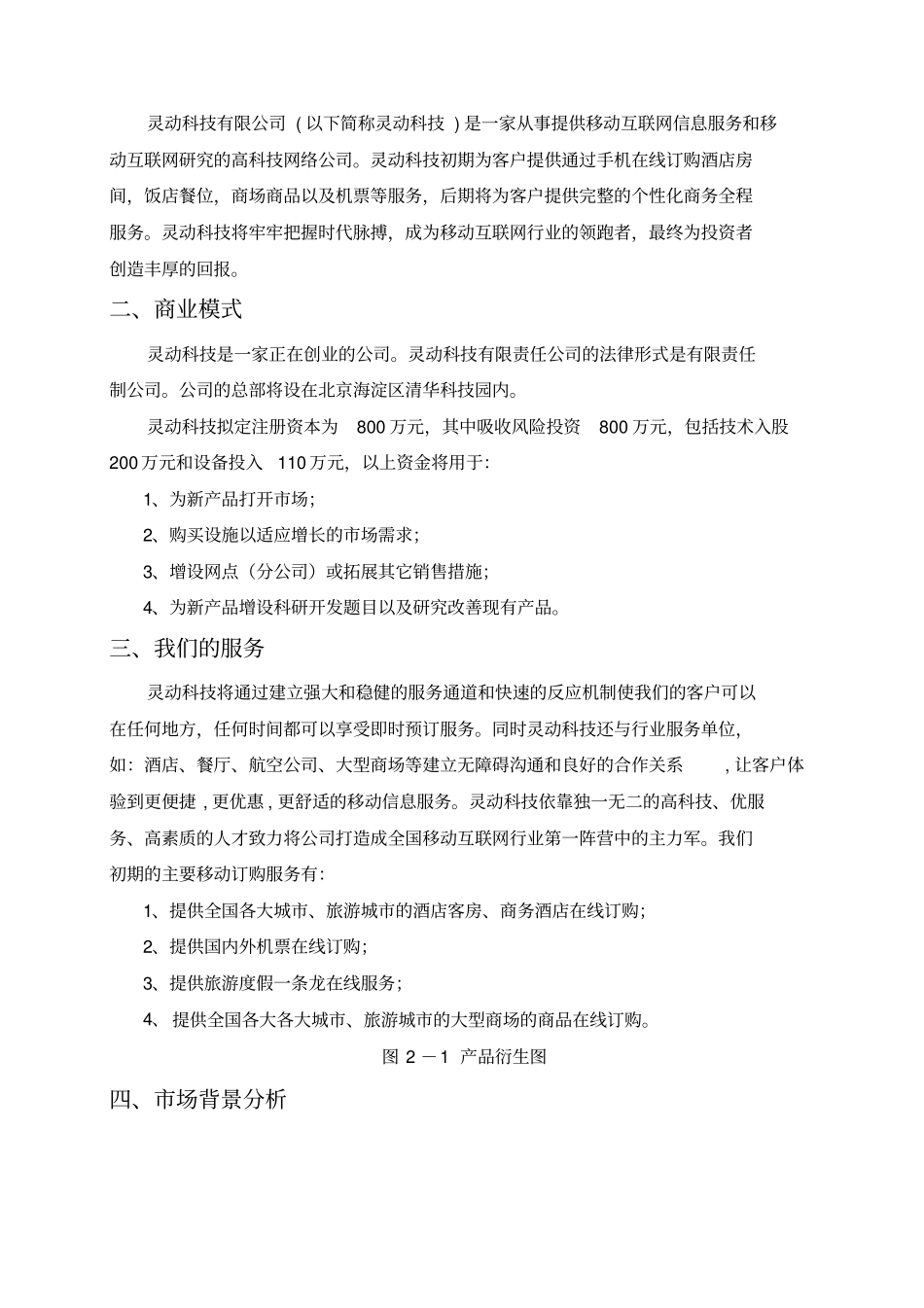 灵动科技有限公司商业计划书案列_第3页