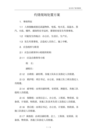 灼烫现场处置方案模版