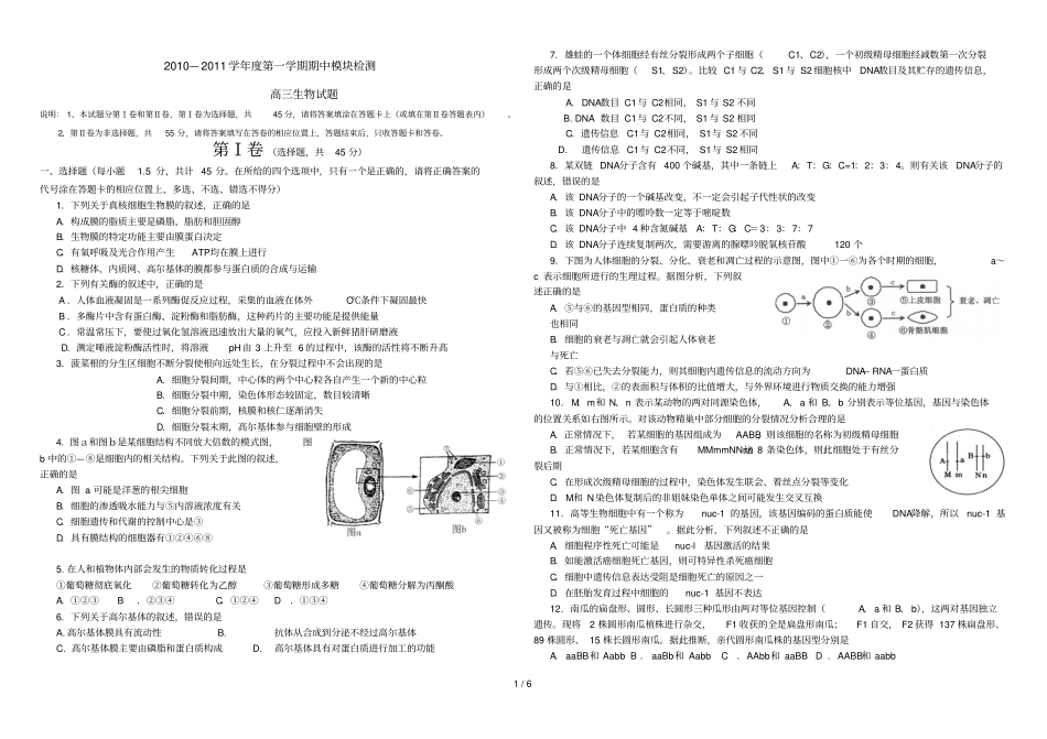 烟台高三期中考题免费_第1页
