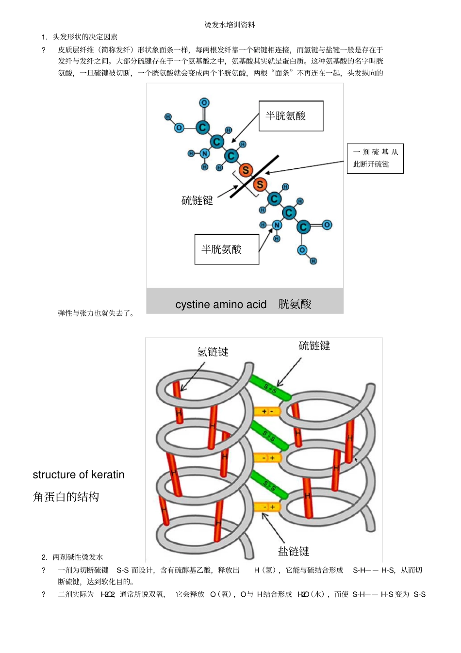 烫发水培训资料_第1页