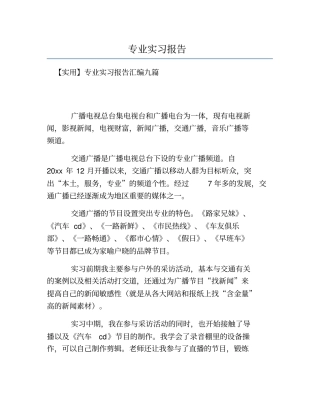 热门-专业实习报告