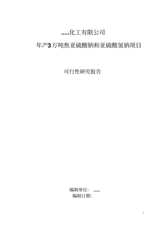 焦亚硫酸钠亚硫酸氢钠生产项目可研报告