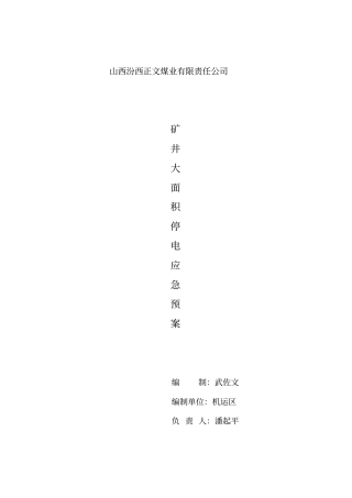 煤业有限责任公司矿井大面积停电应急预案