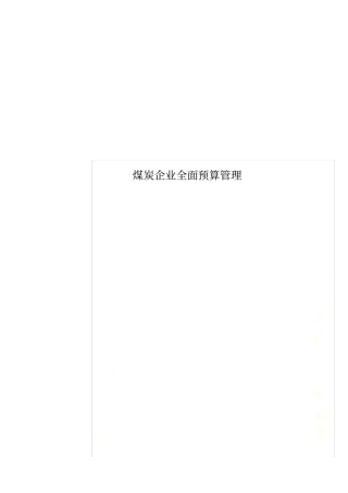 煤炭企业全面预算管理