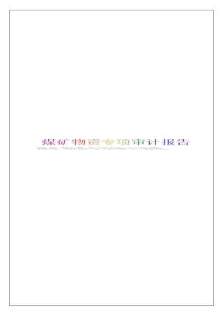煤矿物资专项审计报告