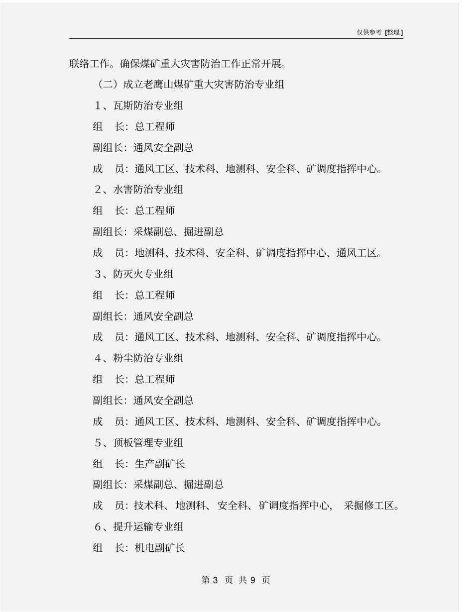 煤矿重大灾害防治工作实施方案_第3页
