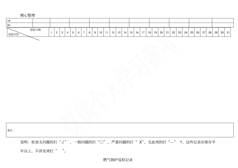 燃气锅炉巡检记录_第2页