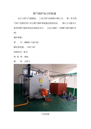 燃气锅炉每小时耗量