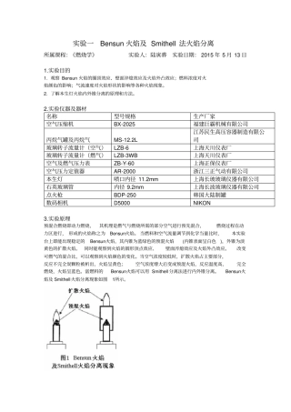 燃烧学试验报告