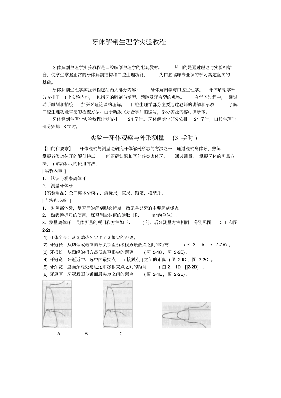 牙体解剖生理学试验教程_第1页