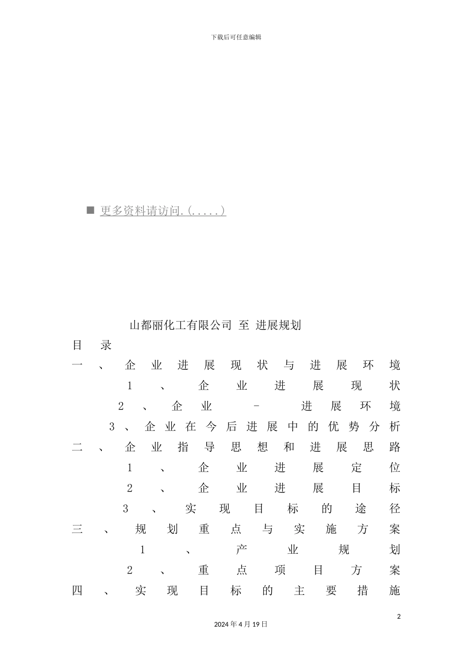 公司年度发展规划_第2页