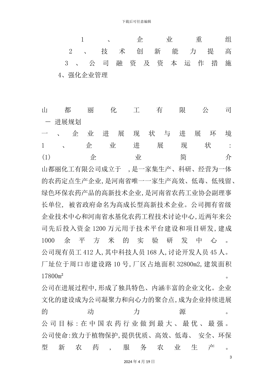 公司年度发展规划_第3页