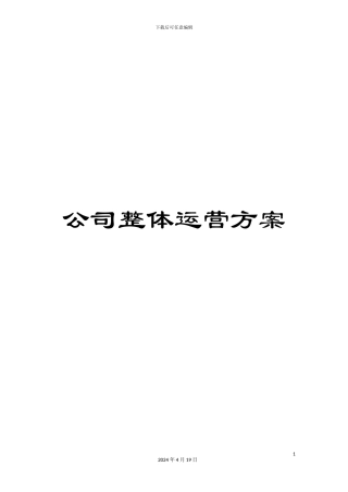 公司整体运营方案