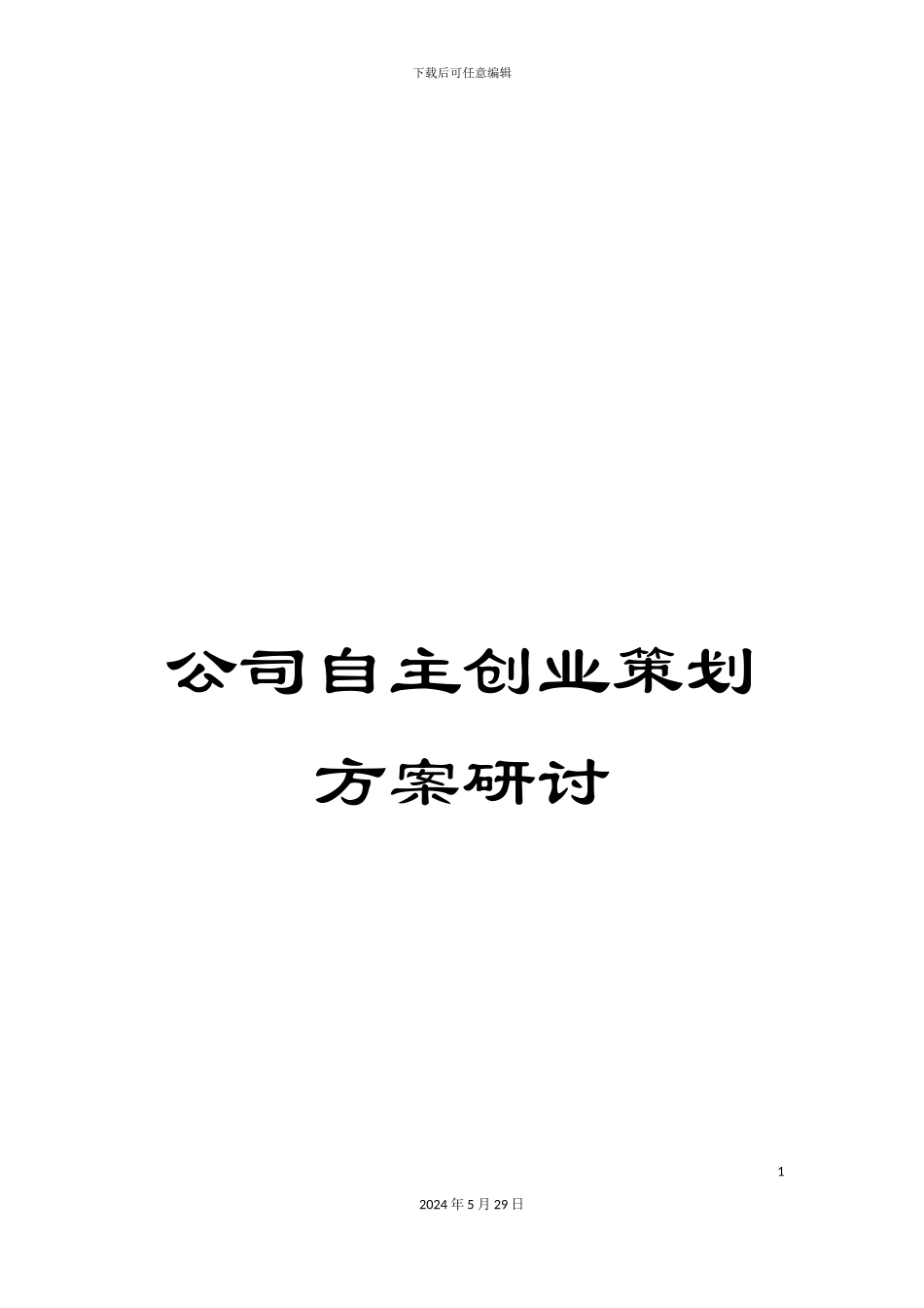 公司自主创业策划方案研讨_第1页