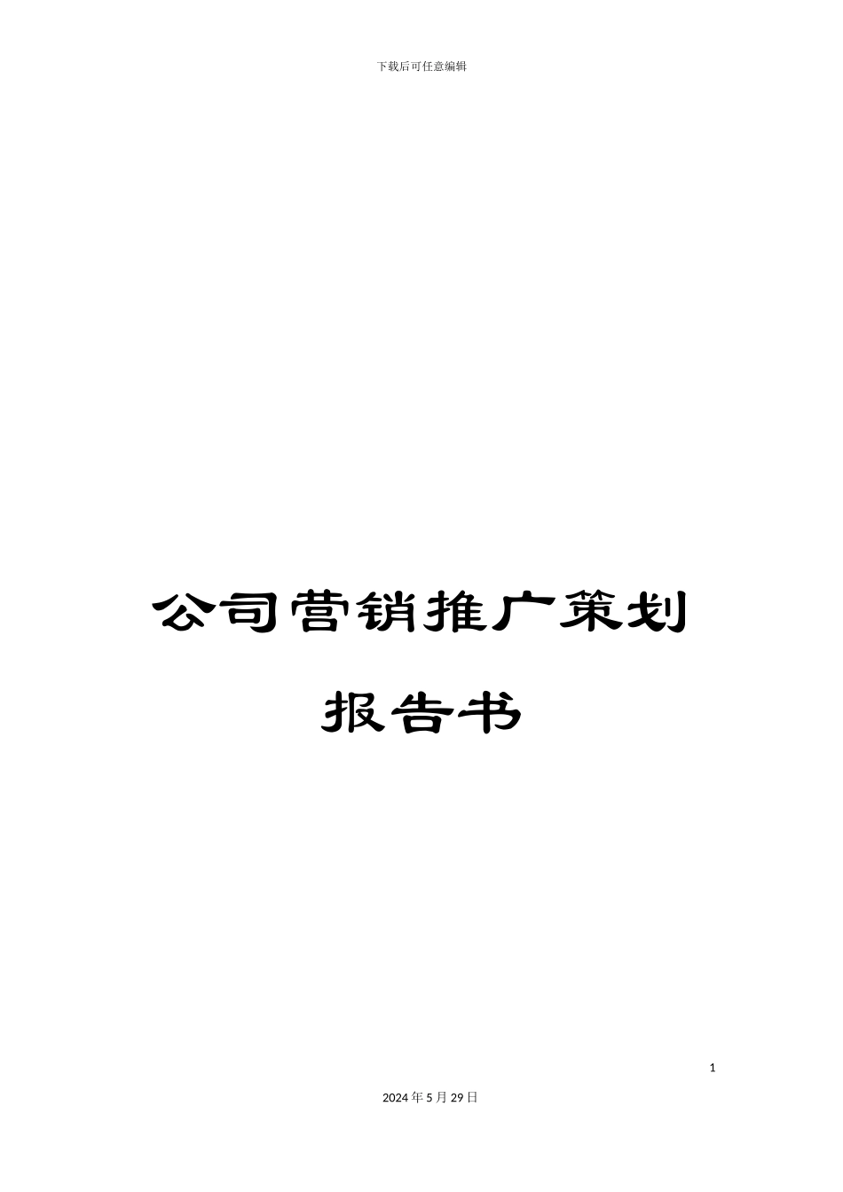 公司营销推广策划报告书_第1页