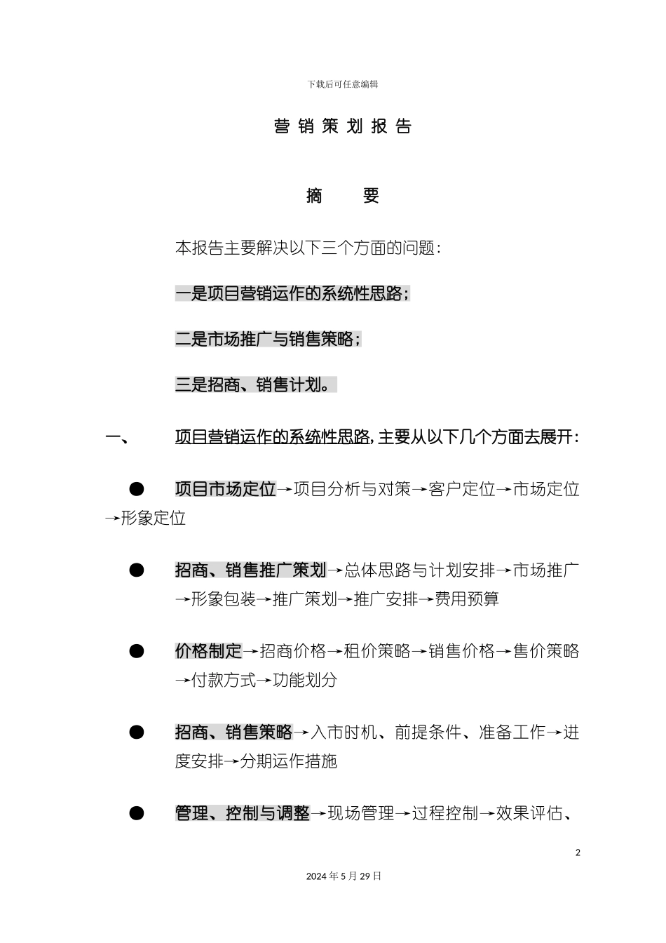 公司营销推广策划报告书_第2页