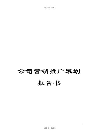 公司营销推广策划报告书