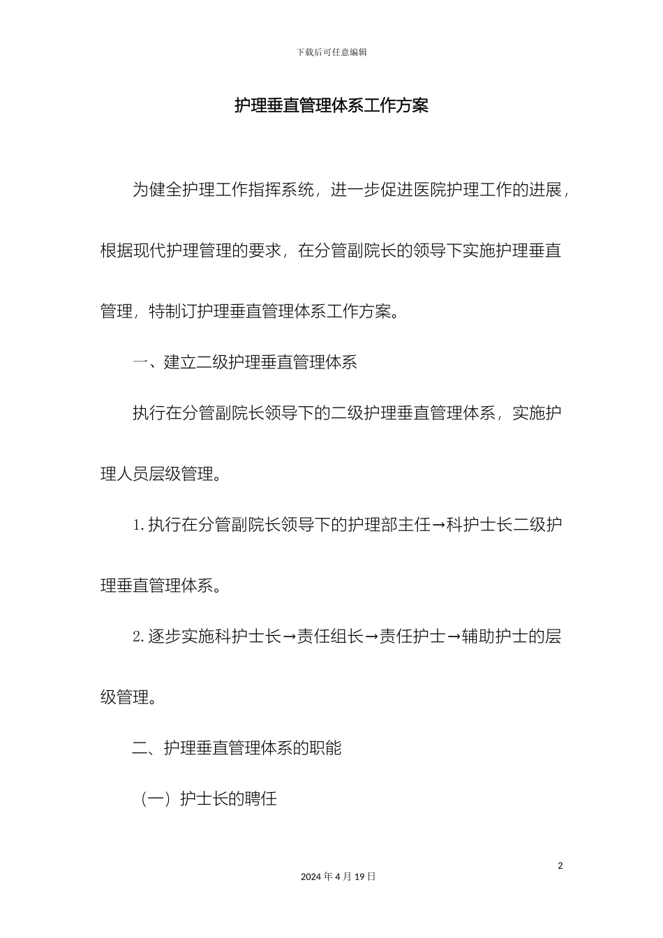 关于护理垂直管理体系的工作方案_第2页