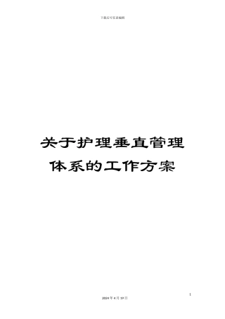 关于护理垂直管理体系的工作方案