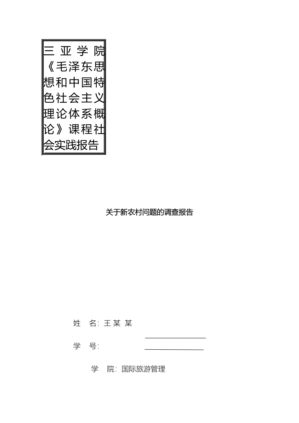 关于新农村问题的调查报告_第2页