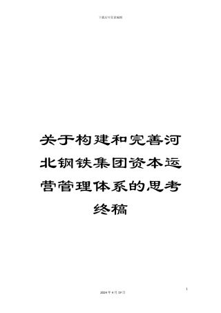 关于构建和完善河北钢铁集团资本运营管理体系的思考终稿