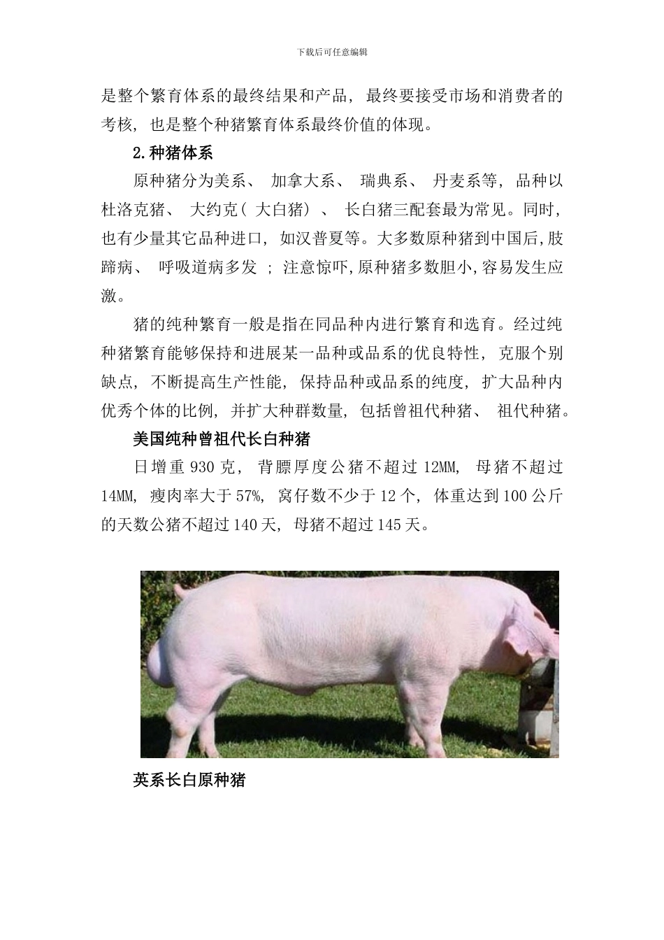 养猪繁育体系及评价指标样本_第3页