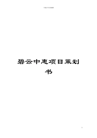 碧云中惠项目策划书模板