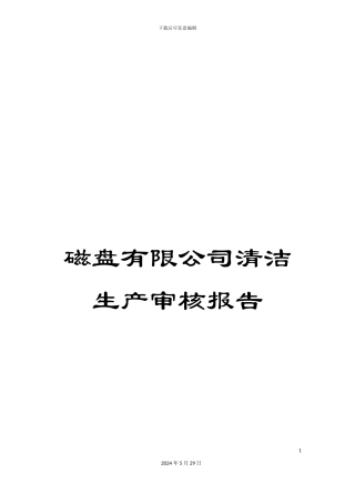 磁盘有限公司清洁生产审核报告