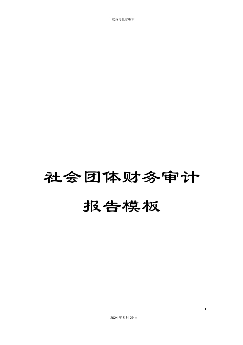 社会团体财务审计报告模板_第1页