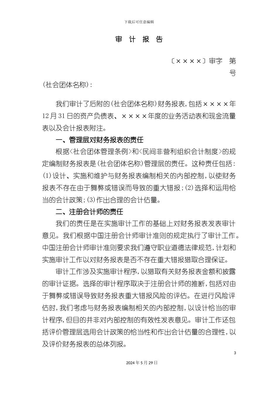 社会团体财务审计报告模板_第3页