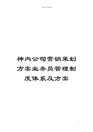 神内公司营销策划方案业务员管理制度体系及方案模板
